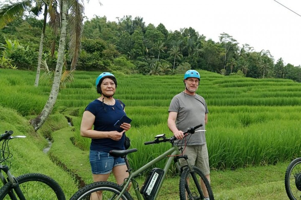 Full Day Jatiluwih E-bike Tour & Trekking Program With Lunch