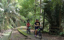 Green Bikes Bali3