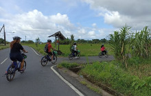 Green Bikes Bali6