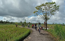 Green Bikes Bali10