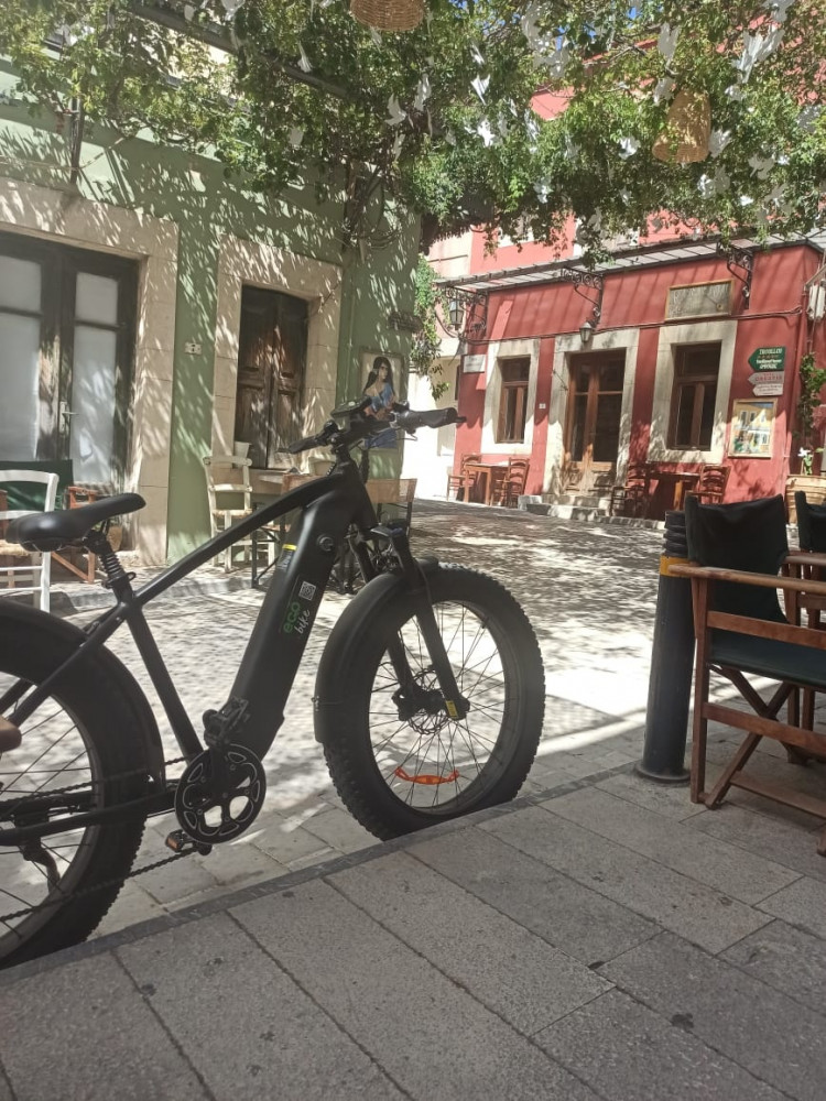 Ecobike Full Day Village Tour Discover the Real Crete with Food Tasting