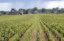 Private Côte de Nuits Burgundy Wine Tour
