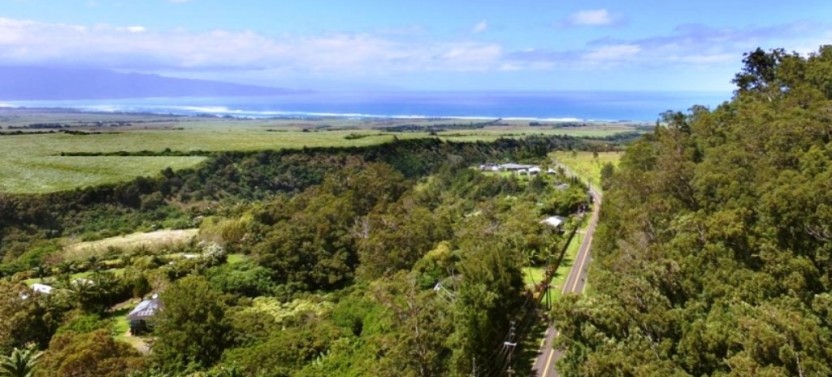 Self-Guided Haleakala Express Bike Adventure