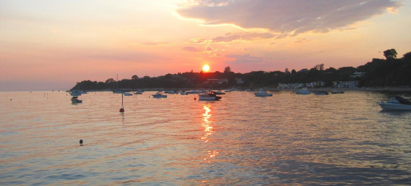 Twilight Seal and Dolphin Swim Tour (Summer/Daylight Savings Only)