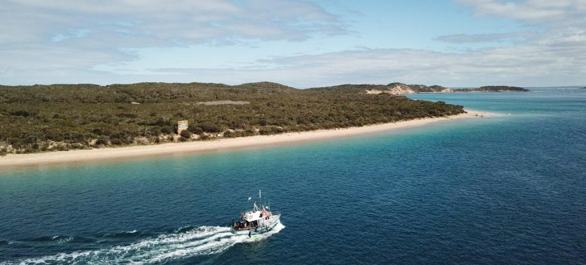 Seal and Dolphin Swim Tours