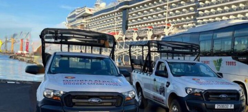 Cruise visit: Albert Moorea 4x4 Magic Mountain & Belvedere