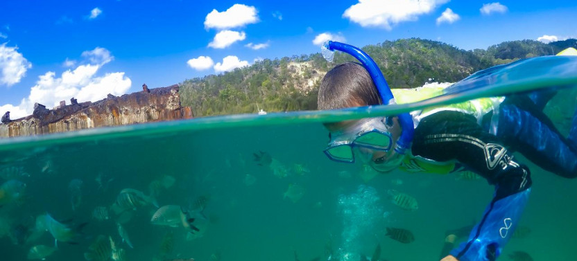 Snorkel the Wrecks Day Cruise