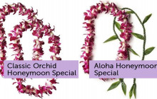 Hawaii Flower Lei4