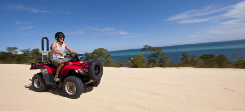 ATV Quad Bike Day Cruise with Wild Dolphin Feeding