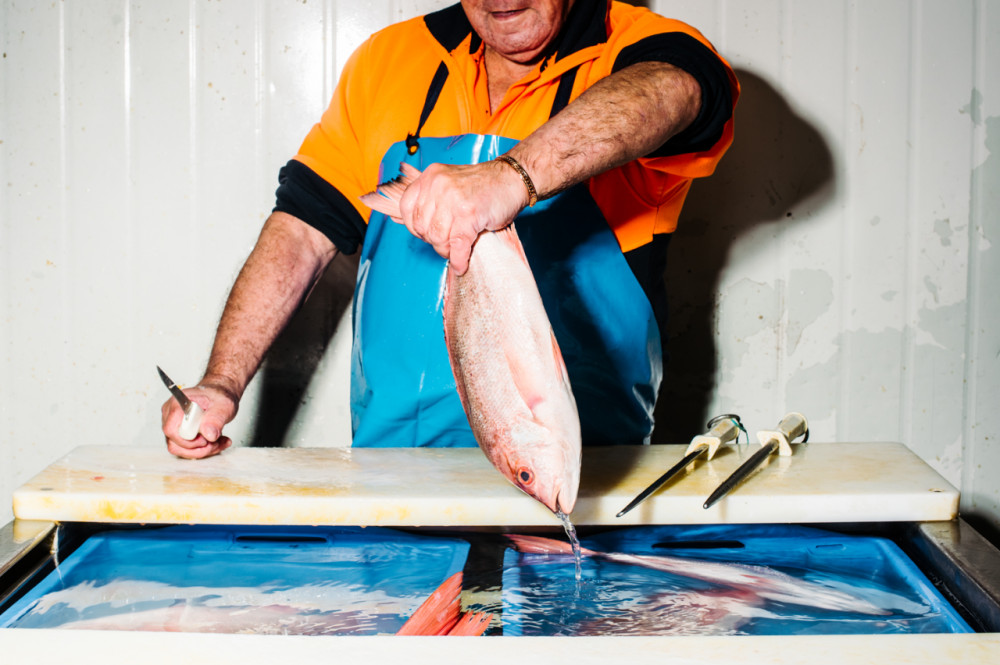 Sydney Fish Market: Behind the Scenes Tour