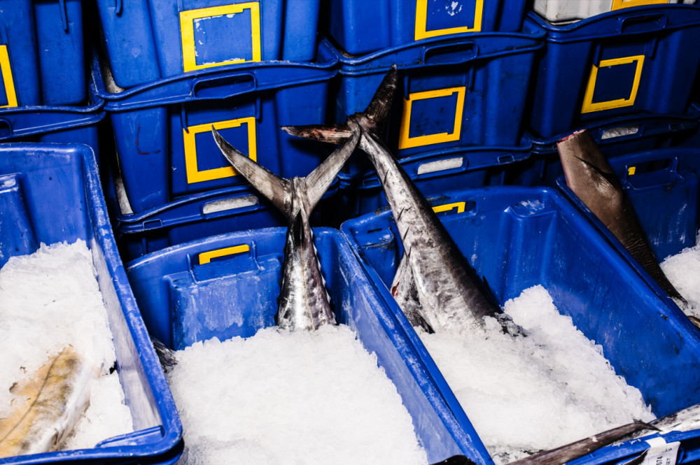 Sydney Fish Market