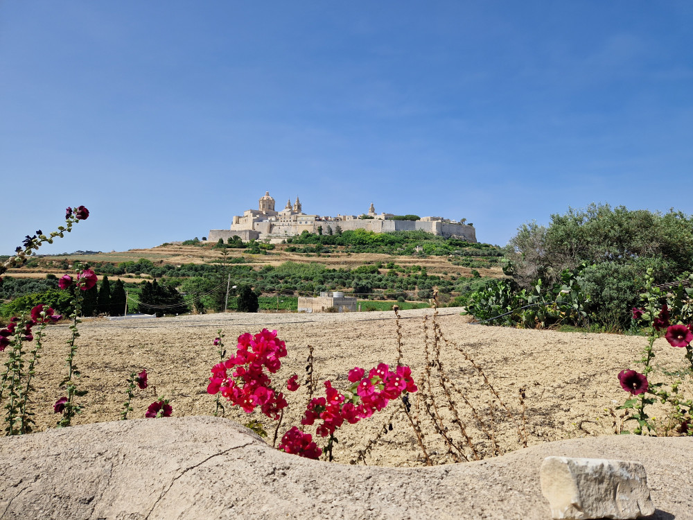 Mdina and Rabat Food and History Tour