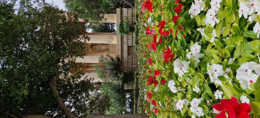 Small Group Valletta Walking Tour
