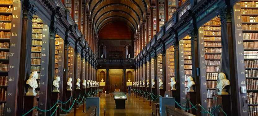 (Nearly!) All of Dublin in 5 Hours Private Walking Tour