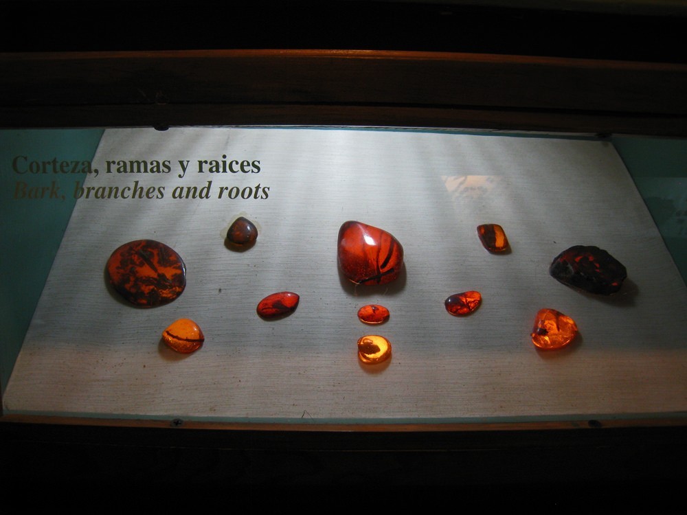 Amber Museum