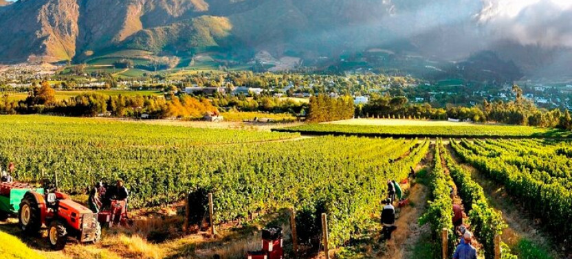Private Tour Of 3 Top Winelands With Wine Tasting From Cape Town