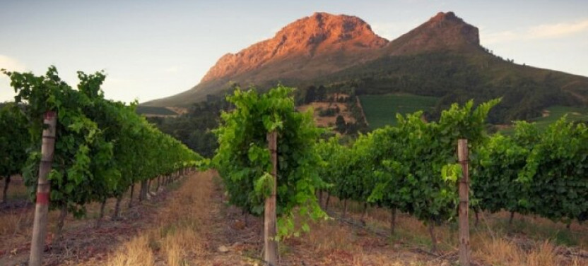 Private Tour Of 3 Top Winelands With Wine Tasting From Cape Town