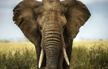 shine the way tours3