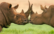 shine the way tours4