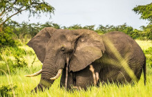 shine the way tours5