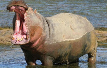 shine the way tours8