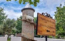 shine the way tours9