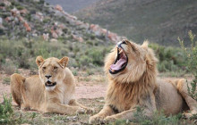 shine the way tours11