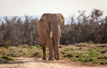 shine the way tours12