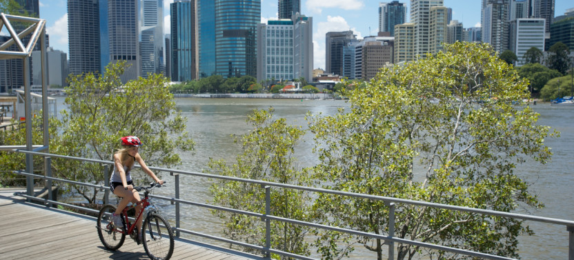 Full Day Bike Hire