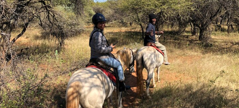 Horseback Safari from Johannesburg