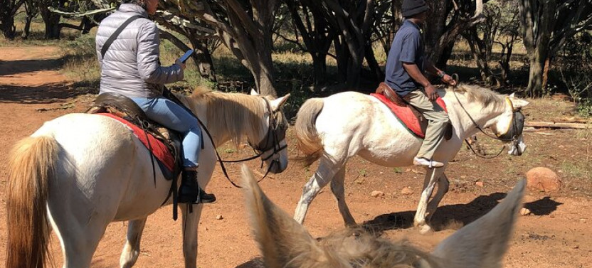 Horseback Safari from Johannesburg