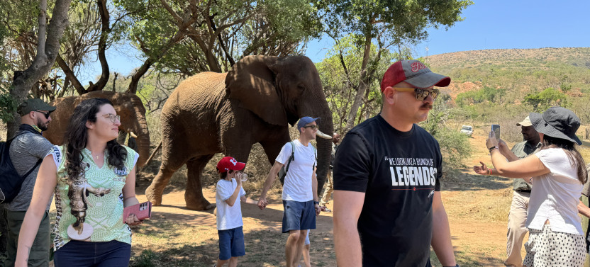 Elephant & Monkey Sanctuary Tour from Johannesburg