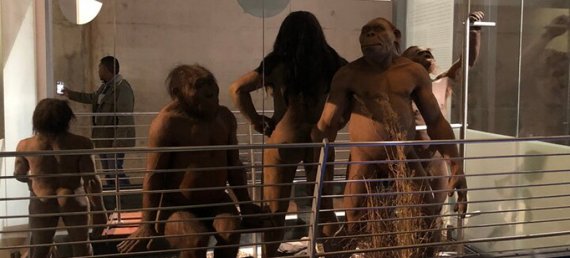 Cradle Of Humankind Half Day Tour with Maropeng Exhibition Centre