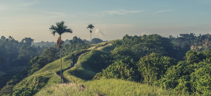 Private Tour : Campuhan Ridge Walk , Rice Terrace and Mount Batur