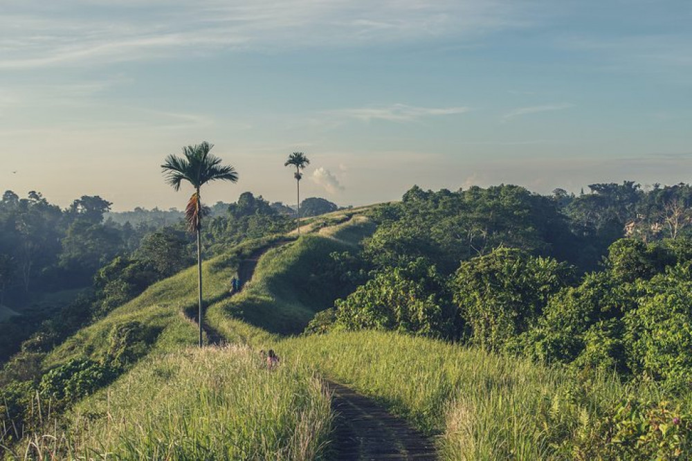 Private Tour : Campuhan Ridge Walk , Rice Terrace and Mount Batur