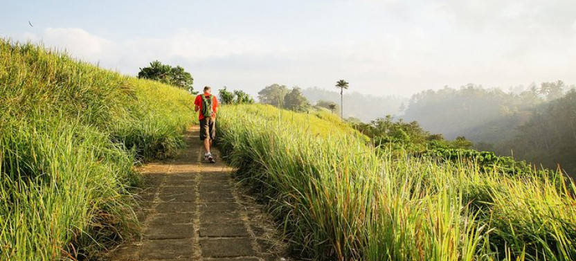 Private Tour : Campuhan Ridge Walk , Rice Terrace and Mount Batur