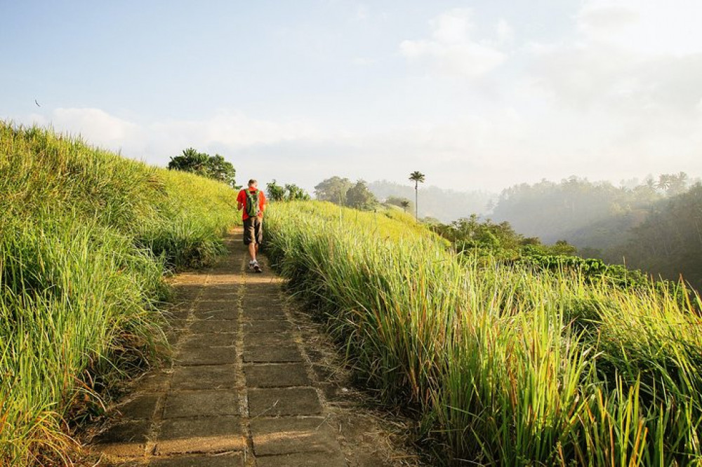 Campuhan Ridge Walk Trekking: Rice Terraces, Volcano, and Water Temple