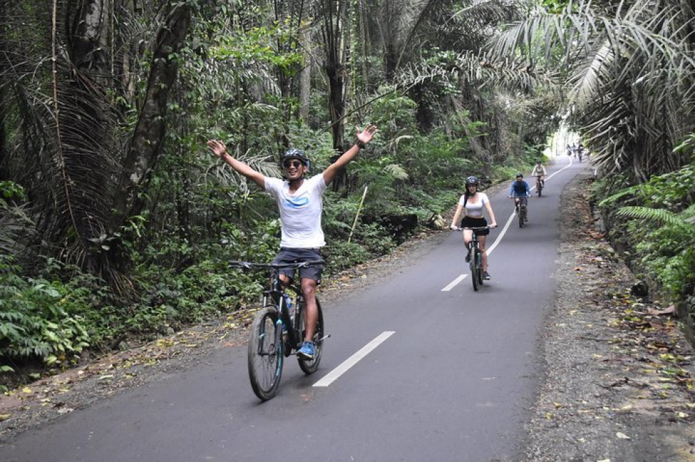 Private Cycling Tour through Bali Highlands