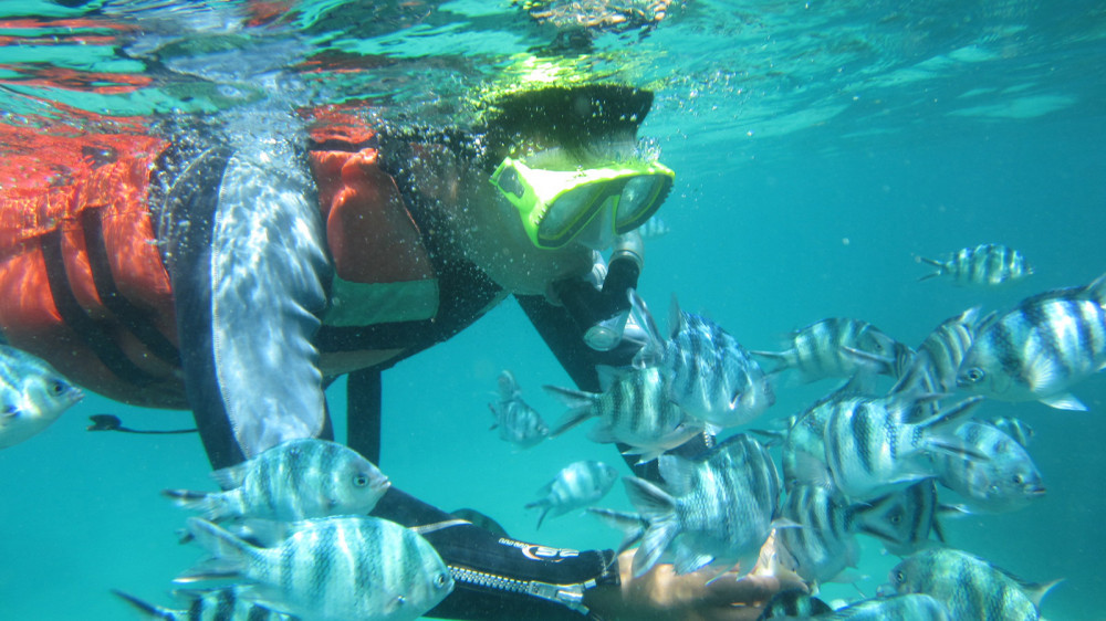 Snorkeling Tour to Blue Lagoon and Tanjung Jepun