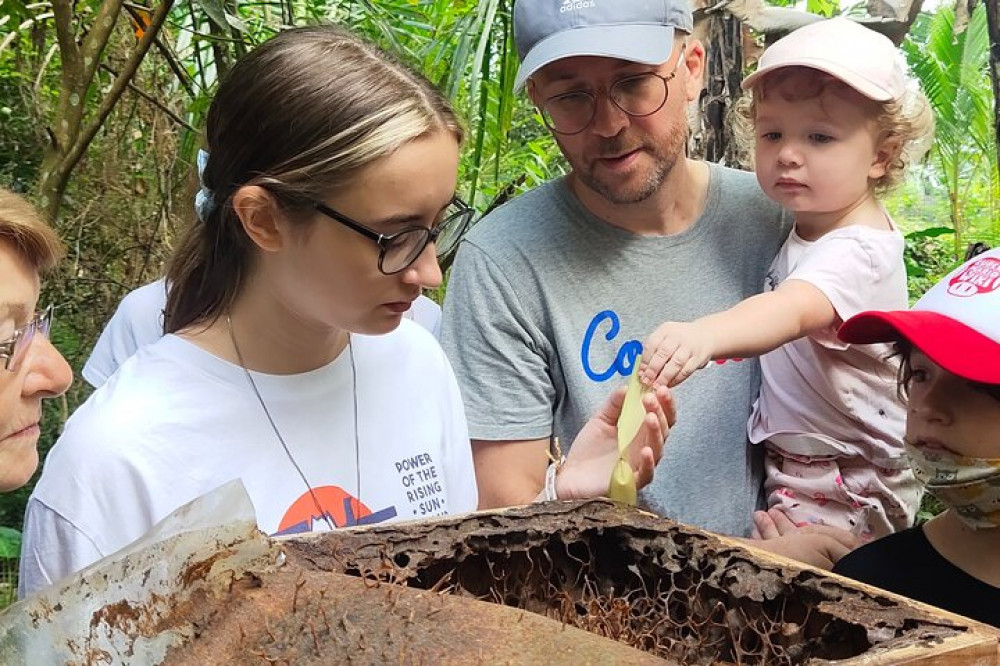 Bee Honey Farm and Beekeeping Tour