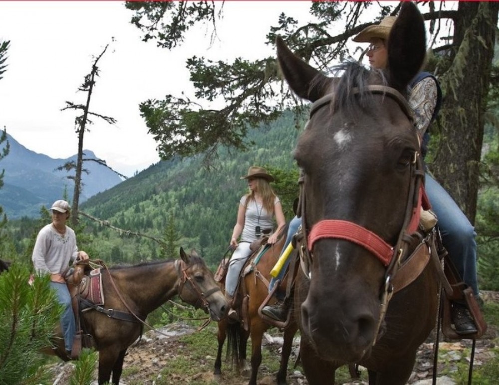 Two Hour Horseback Ride - 3:00 PM