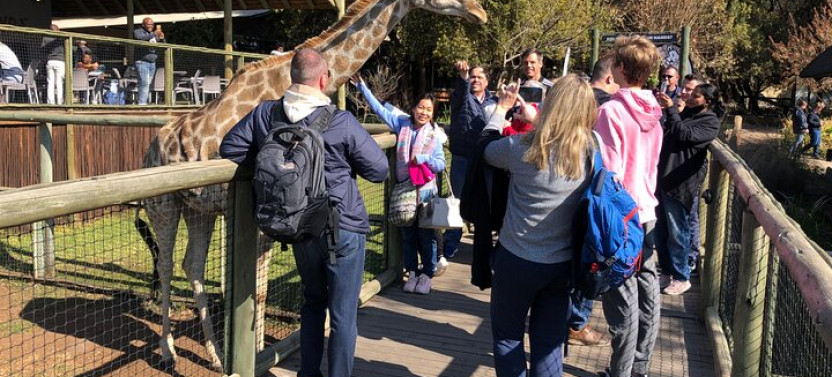 Cradle of Humankind and Lion Safari Combo Tour from Johannesburg
