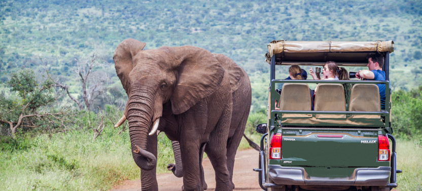 Pilanesberg Safari from Johannesburg with Lunch