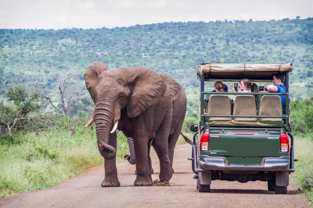 Pilanesberg Safari from Johannesburg with Lunch