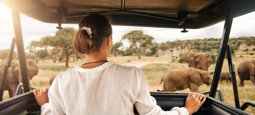 Pilanesberg Safari from Johannesburg with Lunch