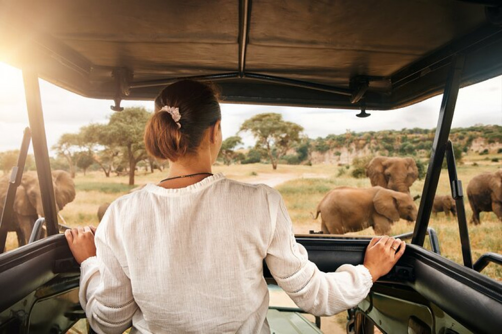 Pilanesberg Safari from Johannesburg with Lunch