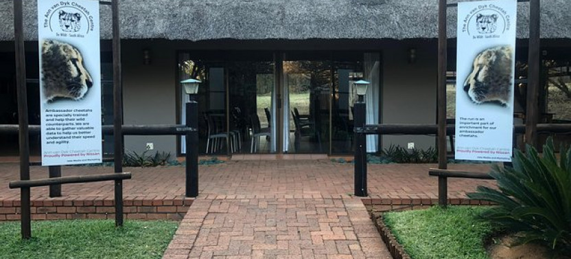 Ann Van Dyk Cheetah Centre Tour from Johannesburg or Pretoria