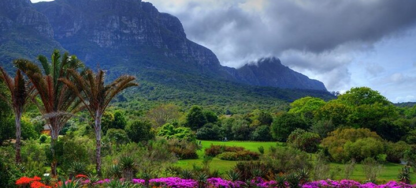 Private Robben Island, Kirstenbosch Gardens, and Groot Constantia Tour