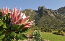 shine the way tours3