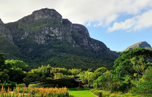 shine the way tours4